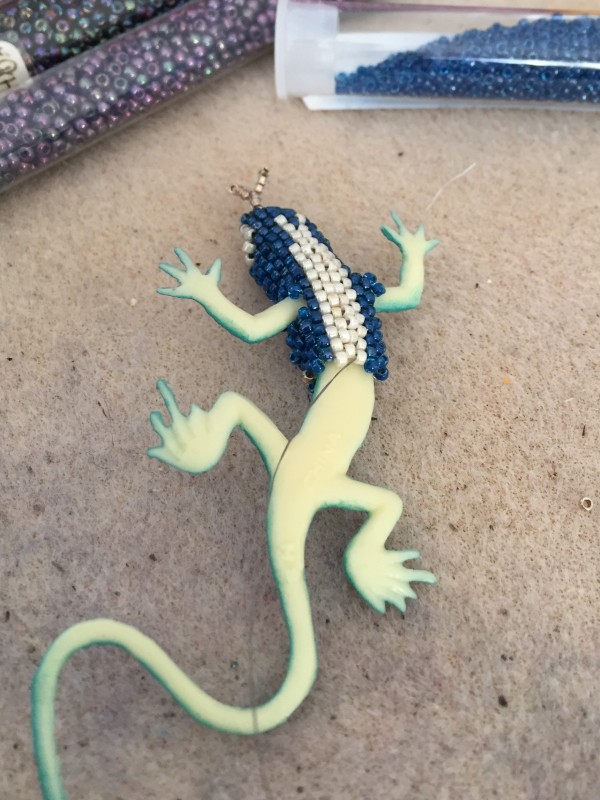 Blue-Lizard-Underbelly